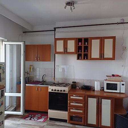 Stef&Cris Central Apartment 康斯坦察 外观 照片