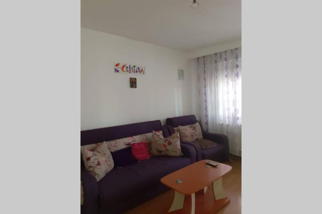 Stef&Cris Central Apartment 康斯坦察 外观 照片